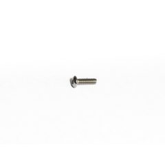 BHCS A2 M3x10mm screw