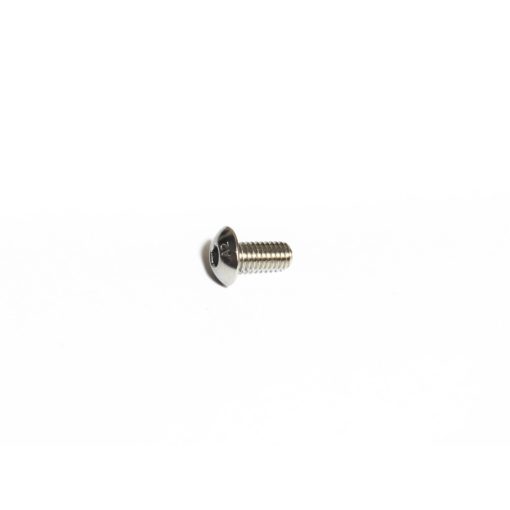 BHCS A2 M5x10mm screw