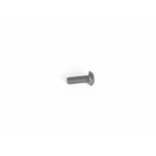BHCS Titanium M5x14mm screw