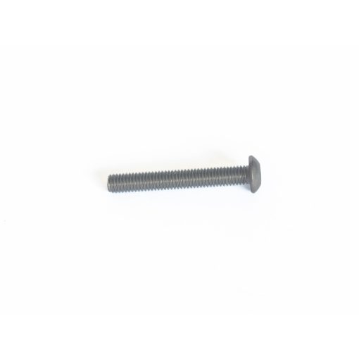 BHCS Titanium M5x35mm screw