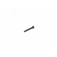 SHCS A2 M2.5x16mm screw