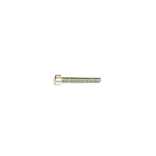 SHCS A2 M3x20mm screw