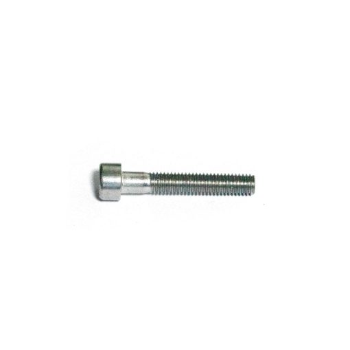 SHCS A2 M5x30mm screw