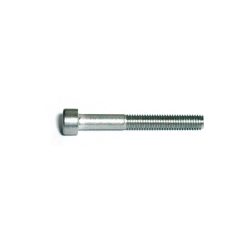 SHCS A2 M5x40mm screw