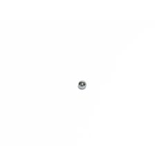 Stainless Steel Ball (5,5mm)